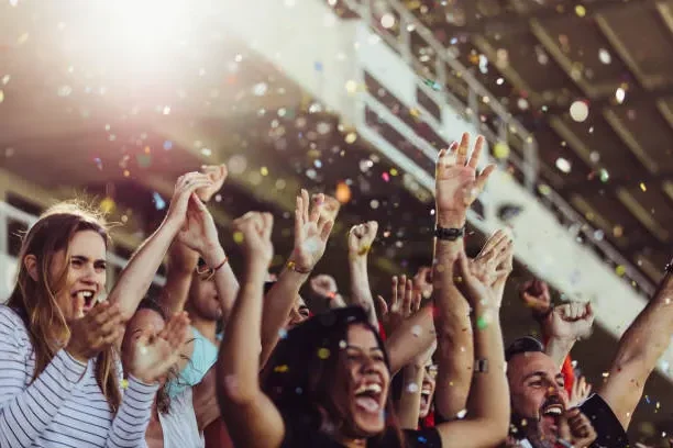 开云体育法甲球迷在看台上热情欢呼助威